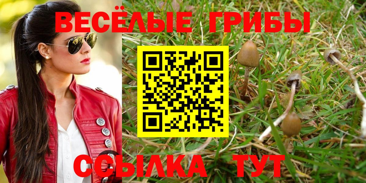 Красноперекопск  Псилоцибиновые грибы Magic Shrooms  Вход с VPN 